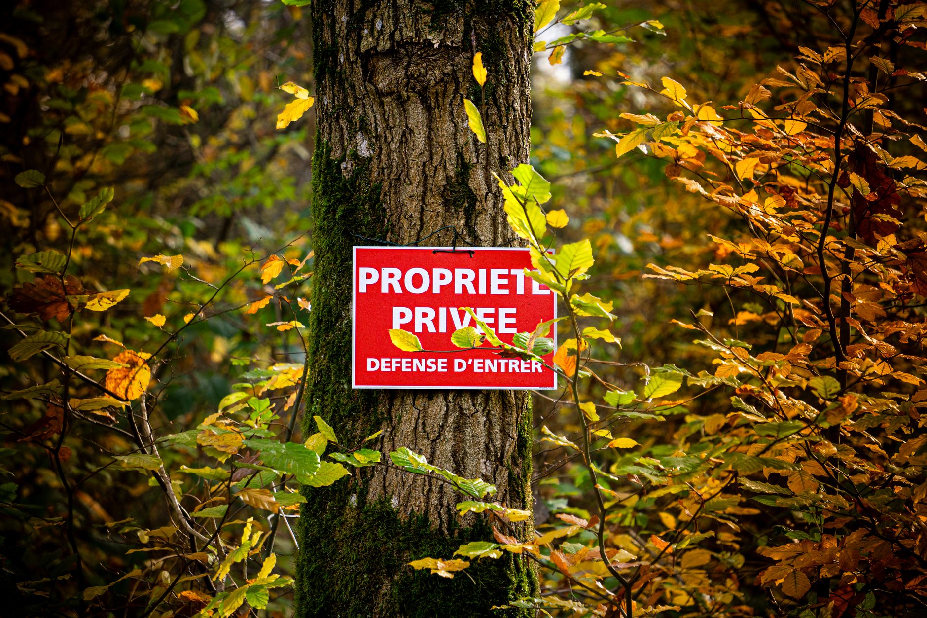Détective privé à Villejuif